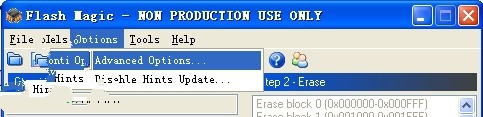 Flash Magic(单片机烧录软件) v11.16官方版 附使用方法