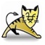 tomcat