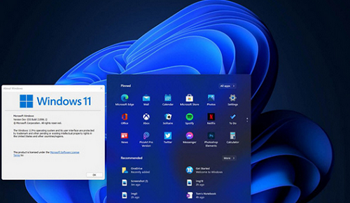 windows11